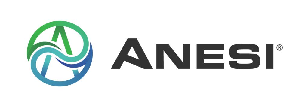 Anesi - Stone Mountain Technologies, Inc.